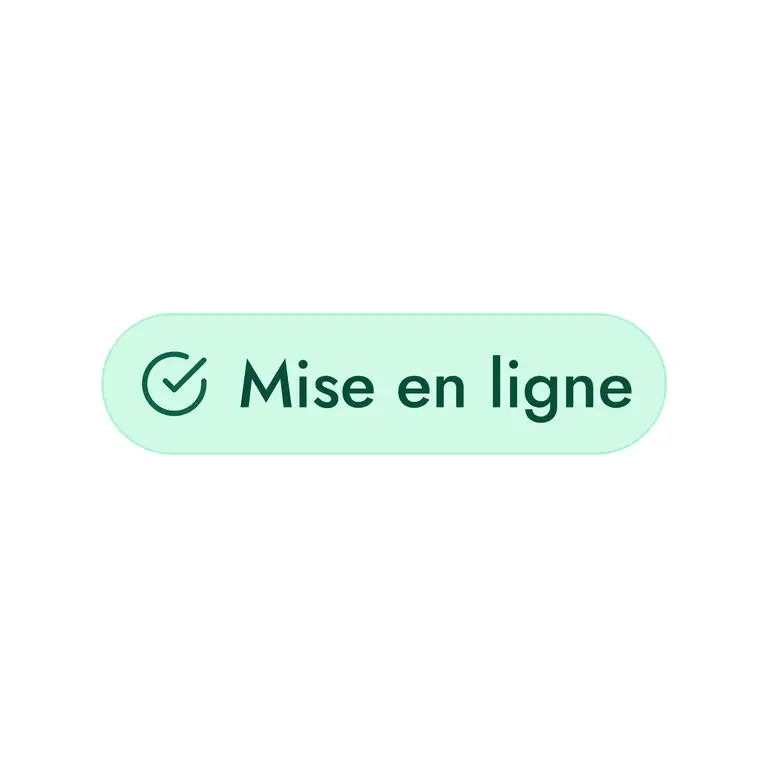 mise en ligne
