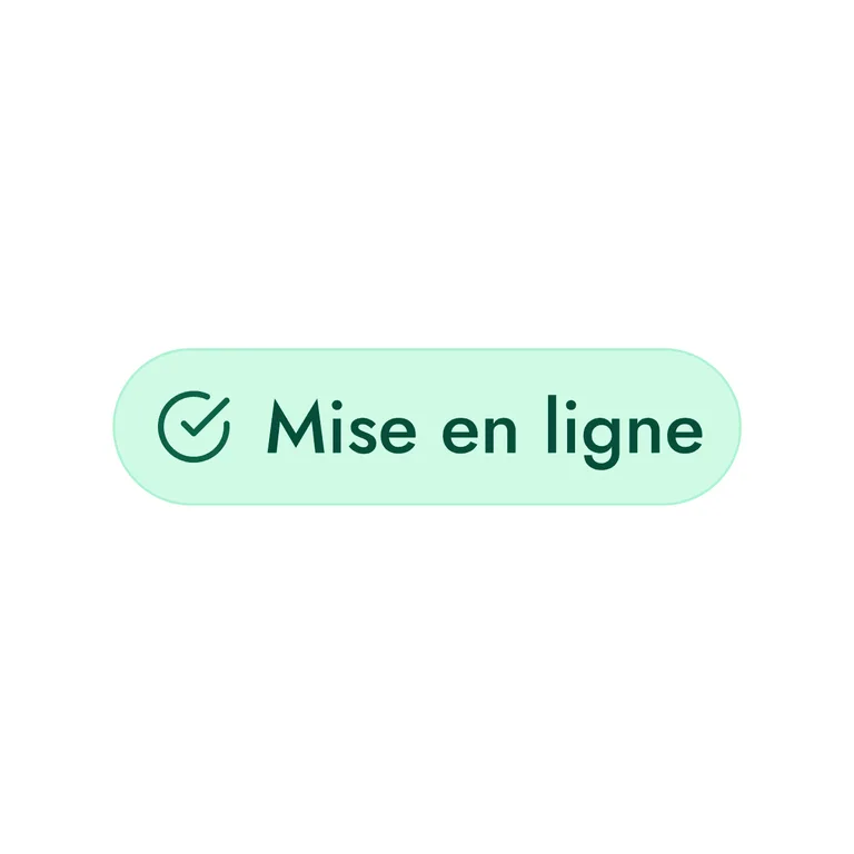 mise en ligne