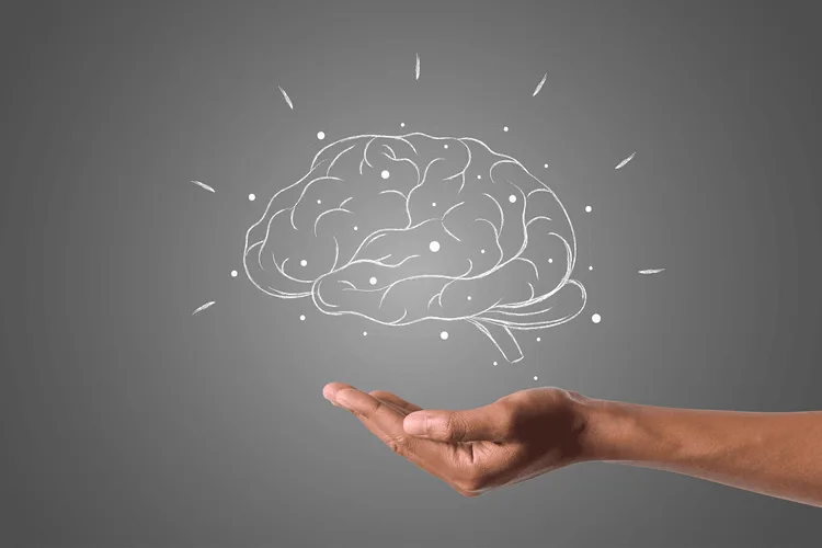 Cerveau représentant la psychologie