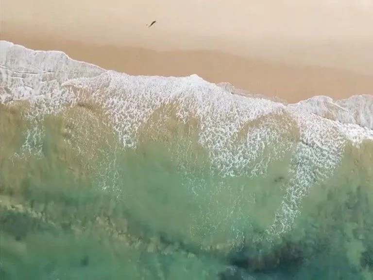 Plage filmée par drone par AWD Productions